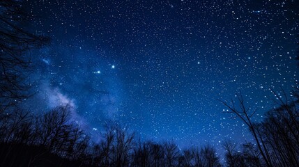 Poster - Springtime constellations twinkle in the clear night sky, a celestial spectacle that captivates stargazers and astronomers alike.