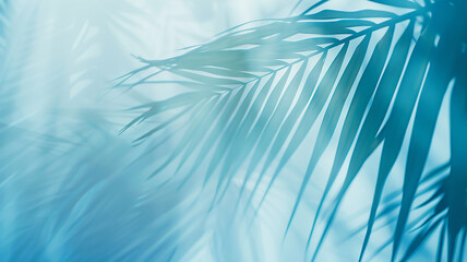 Wall Mural - light blue background palm leaves and copy space, summer backdrop