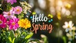 © CLOVER BACKGROUND - Hello Spring: A vibrant bouquet of colorful spring flowers in bloom, bathed in warm sunlight, with the message 'Hello Spring' overlayed, creating a joyful and hopeful atmosphere.