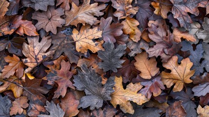 Poster - Close-up of fallen leaves in various shades of brown and grey.