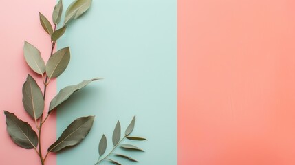 Wall Mural - Minimalist green leaves on pink and blue background.