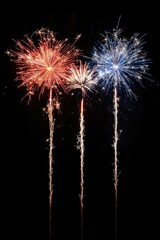 Wall Mural - Fireworks Lit Up