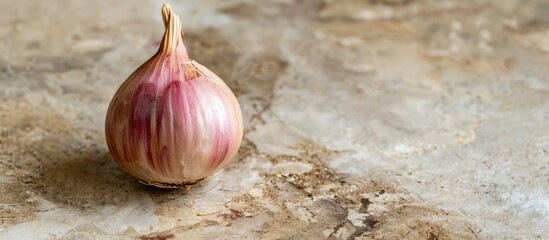 Poster - A preserved shallot sits on the table next to a copy space image