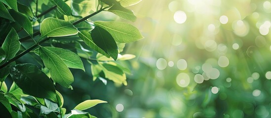 Aufkleber - A stunning nature scene with lush green leaves on a blurred green background providing a serene backdrop with copy space for an image of natural greenery