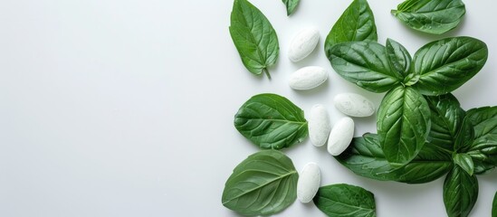 Poster - A white background with a traditional Indian Ayurvedic herbal medicine tablet featuring holy basil and mint leaves for a copy space image with a focused composition