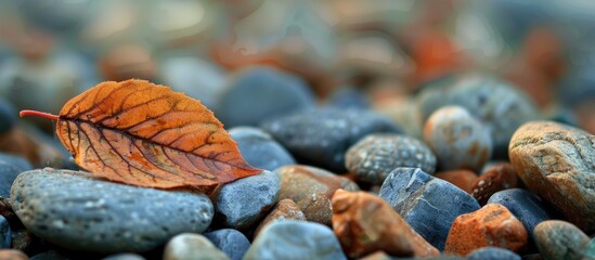 Aufkleber - Focused on a leaf against a backdrop of stones creating copy space image