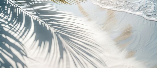 Wall Mural - Abstract white sand beach background with a palm leaf shadow and sun reflections on water creating a beautiful summer vacation copy space image