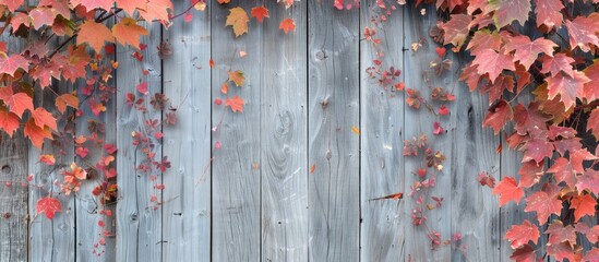 Aufkleber - Fall foliage of maple trees on a vintage wooden backdrop with ample copy space image
