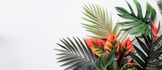 Aufkleber - Minimal summer arrangement featuring colorful tropical leaves on a white backdrop enhancing an exotic concept with ample copy space image for a border layout