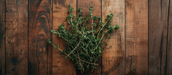 Aufkleber - A rustic image with a cluster of fresh thyme on a wooden backdrop reminiscent of a vintage magazine spread leaving room for additional elements
