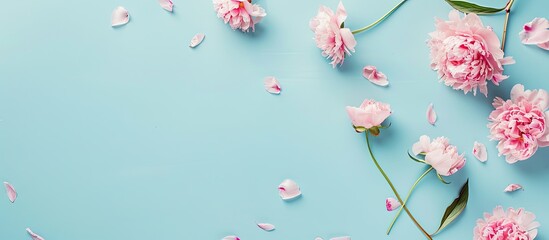 Sticker - Light blue backdrop with pink peonies creating a flat lay composition with copy space image