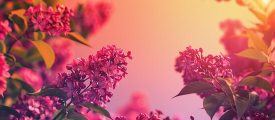 Sticker - Mockup of a spring themed greeting card featuring a lilac branch frame set against a vibrant spring background with copy space image included