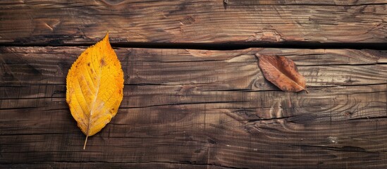 Poster - A yellow leaf on a rustic table with copy space image
