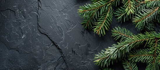 Fototapete - Copy space image featuring fir tree branches against a black slate backdrop for Christmas or New Year greetings