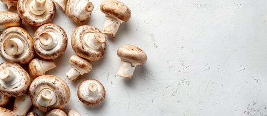 Aufkleber - Fresh champignon mushrooms collection on a white background with copy space image