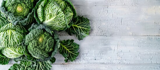 Canvas Print - Organic savoy cabbage displayed on a white wooden table with copy space image