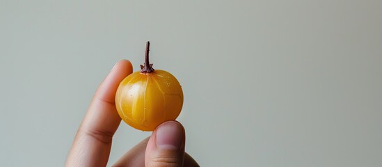 Poster - Person holding a star gooseberry with copy space image