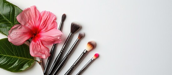 Poster - Magenta brushes and a flower perfect for a beautician concept with a white backdrop providing room for text in a copy space image