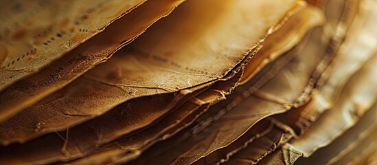 Poster - macro shot of aged book pages for a copy space image
