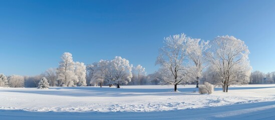 Aufkleber - After a winter snowstorm snow draped trees stand out beautifully against the clear blue sky in this picturesque copy space image