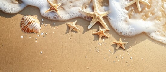 Poster - Seaside sand offers a scenic background for summer concepts with available copy space image