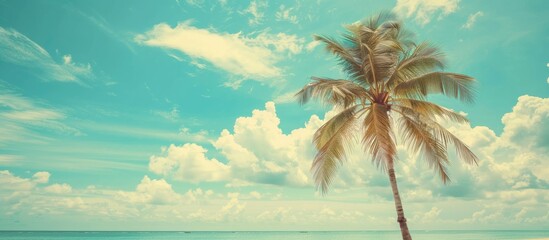 Poster - Tropical beach scene with a palm tree against a blue sky and white clouds creating a serene copy space image for summer vacation and business travel ideas Vintage color filter adds a nostalgic touch