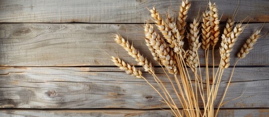 Aufkleber - Wheat ears set on wooden backdrop depicting Mediterranean diet Ideal for copy space image