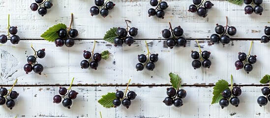 Poster - Fresh blackcurrants arranged in rows on a white wooden backdrop creating a natural pattern with copy space image for a summer themed and healthy food concept