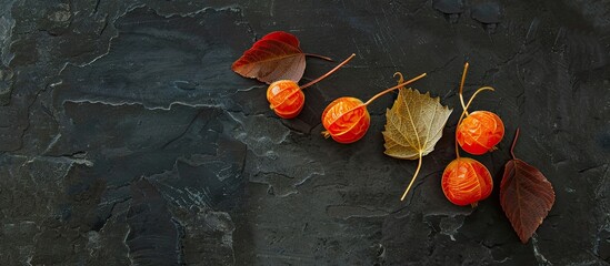 Poster - Free copy space image of Physalis Winter cherry on a sleek black stone table viewed from above