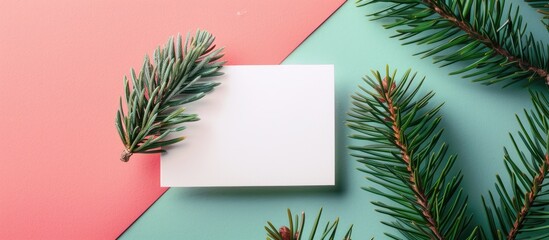 Fototapete - A green fir tree spruce branch is next to an empty business card on a colored background offering space for image insertion. Creative banner. Copyspace image
