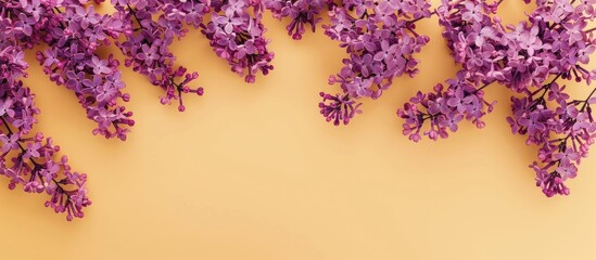 Aufkleber - Top view of a lovely lilac flower border on a soft yellow backdrop perfect for adding text with a copy space image