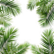 © Rojob - palm tree leaves border png