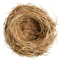 Wall Mural - Bird straw nest clip art