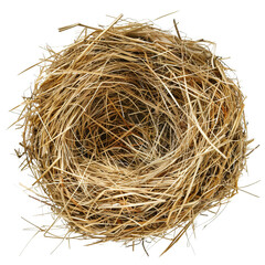 Wall Mural - Bird straw nest clip art