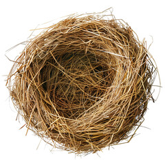 Wall Mural - Bird straw nest clip art