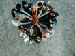 © Jacob Lund - Group of diverse business colleagues showing teamwork in an office setting from above