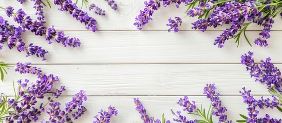 Leinwandbilder - A floral composition with vibrant purple lavender flowers arranged in a circular frame on a white wooden table featuring an empty white paper at the center for a copy space image in a top view flat l