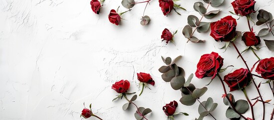 Wall Mural - Valentine s Day concept depicted with roses and eucalyptus on a white background with copy space image