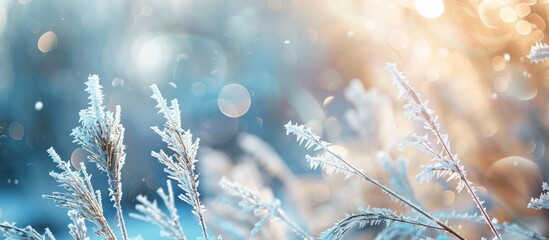 Poster - Winter abstract background with blurred frozen grass in a landscape setting leaving room for copy space image