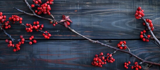 Aufkleber - Close up shot of a branch with vibrant dogwood berries against a dark wooden backdrop creating a striking contrast with copy space image