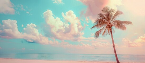 Poster - A tranquil summer day at the beach under a palm tree with a pastel hued sky clouds and a blurred background offering copy space image
