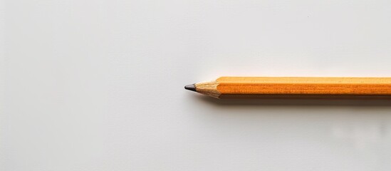 Poster - White wooden pencil displayed on a white backdrop with copy space image