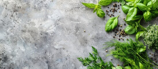 Wall Mural - Assorted fresh organic herbs like basil arugula and dill on a flat lay cooking concrete stone background embodying a healthy food concept with a copy space image from a top view