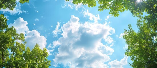 Aufkleber - Summer sky with fluffy clouds and a green tree canopy ideal for text insertion in a copy space image