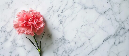 Aufkleber - Top view of a delicate pink carnation on a bright white marble surface representing a Mother s Day floral present with a clear copy space image