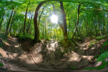 Aufkleber - A lush forest scene with tall trees and vibrant greenery, where sun rays filter through the dense foliage, creating a magical play of light and shadows on the forest floor.