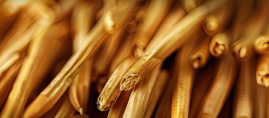 Poster - Close up of corn sticks with copy space image