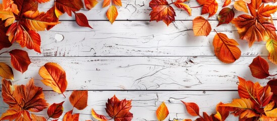 Poster - Autumn leaves frame text on white wood backdrop with copy space image