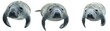 © Антон Сальников - An isolated collection of swimming manatees on a transparent background