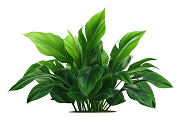 Sticker - PNG Plant green leaf white background.